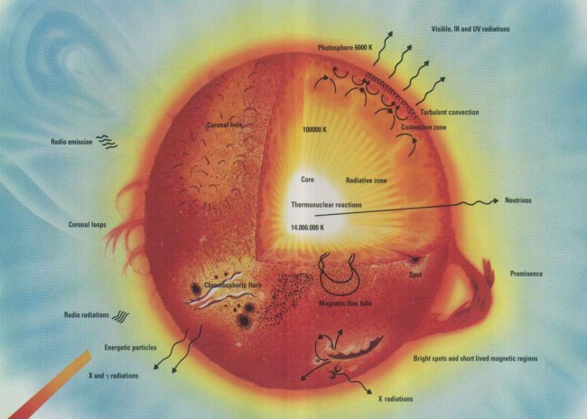 cross section of the Sun