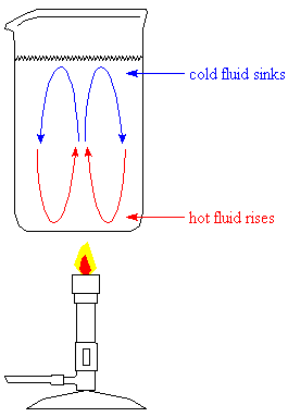 convection in heated water