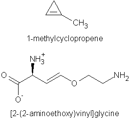 1-methylcyclopropene and aminoethoxyvinylglycine are ethylene antagonists that prevent ripening