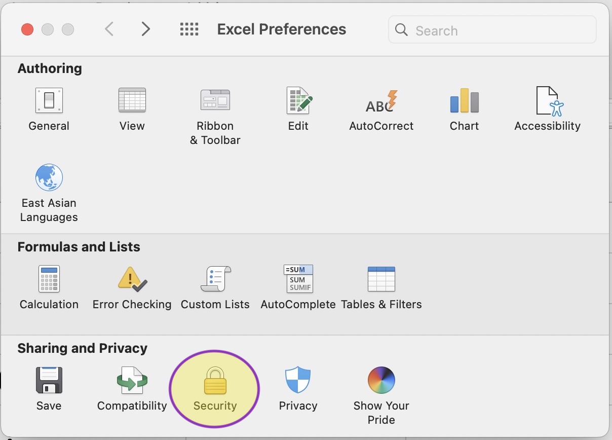 Excel preferences window on a Macintosh